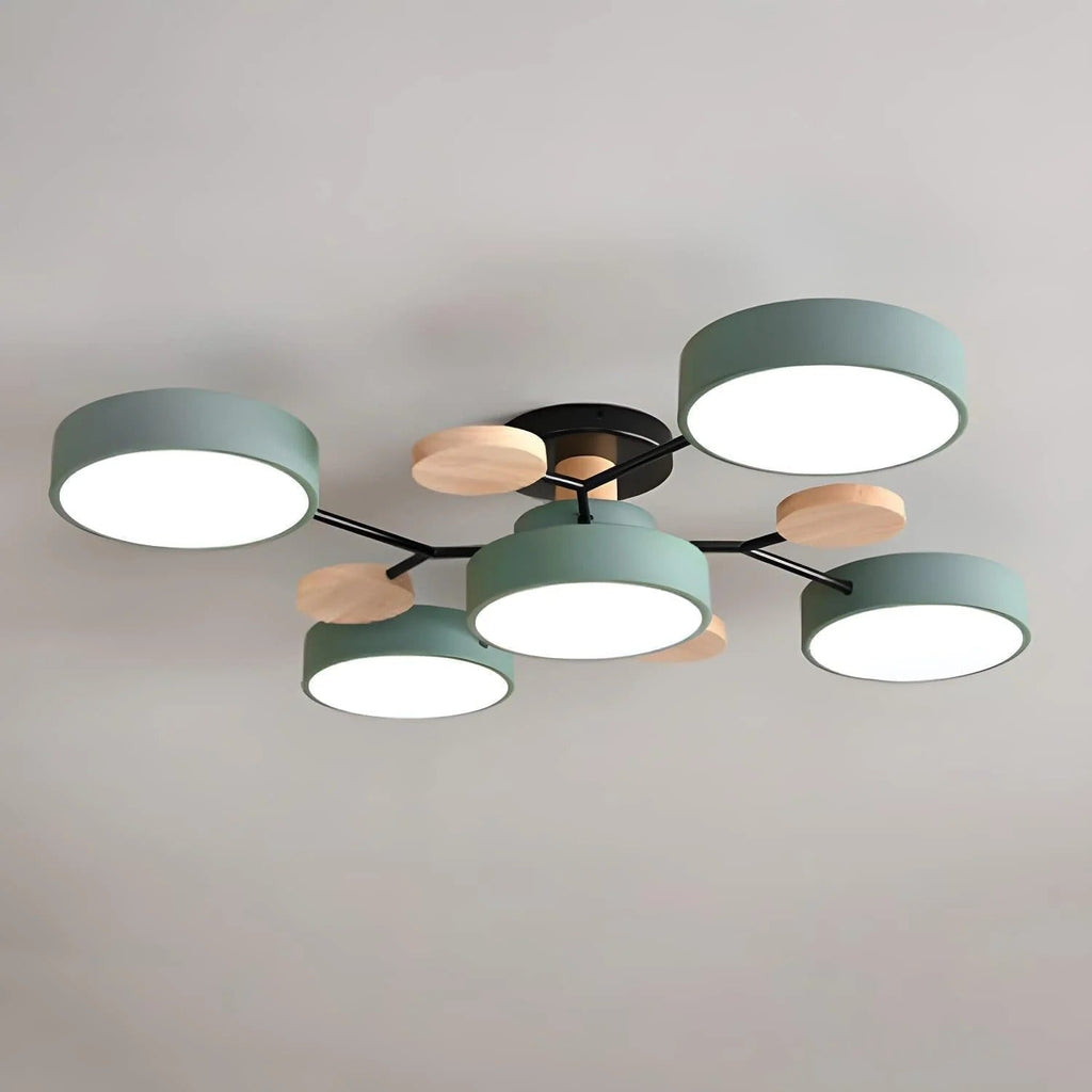 Flush Mount Ceiling Light Modern LED Room Illumination